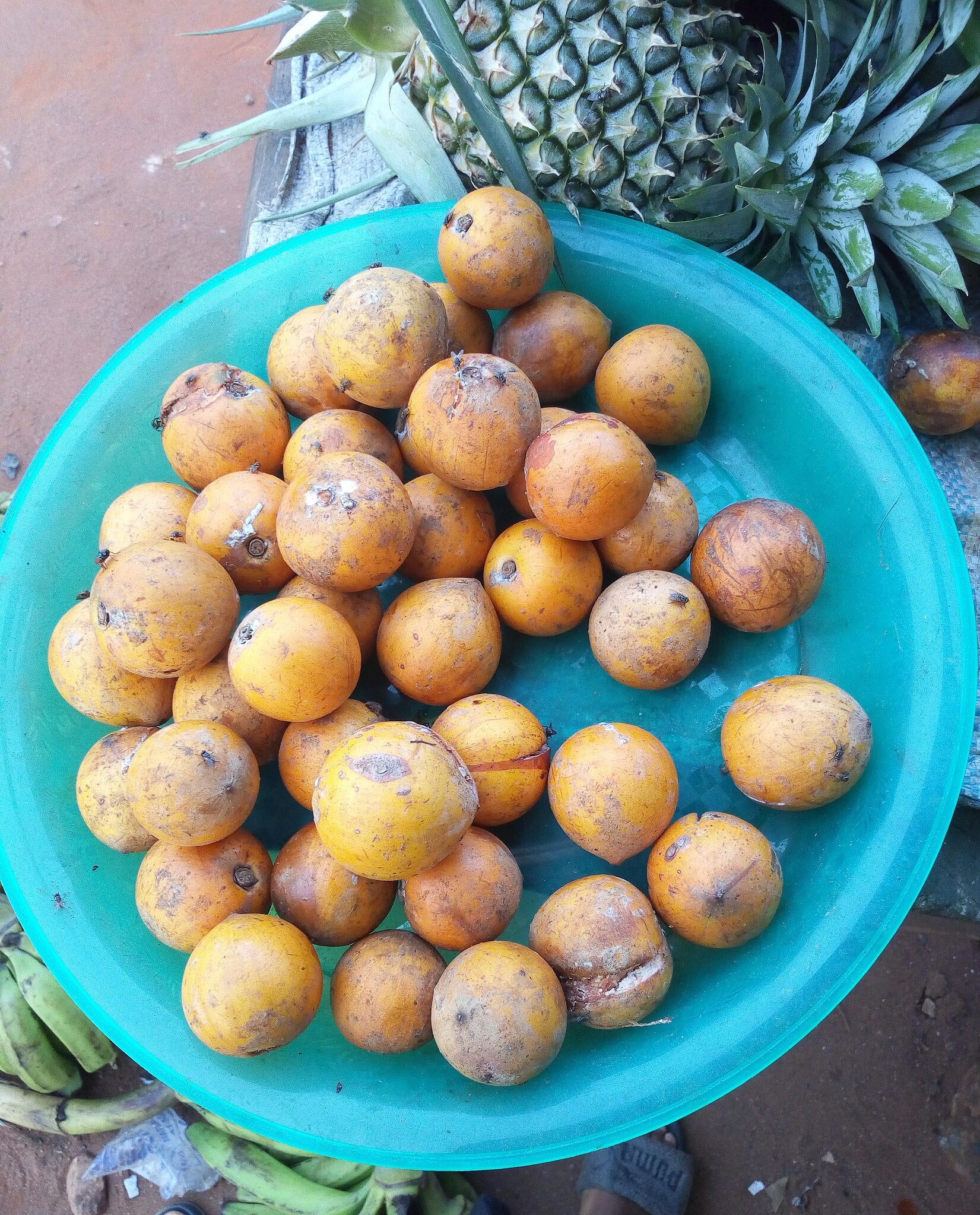 Agbalumo #2