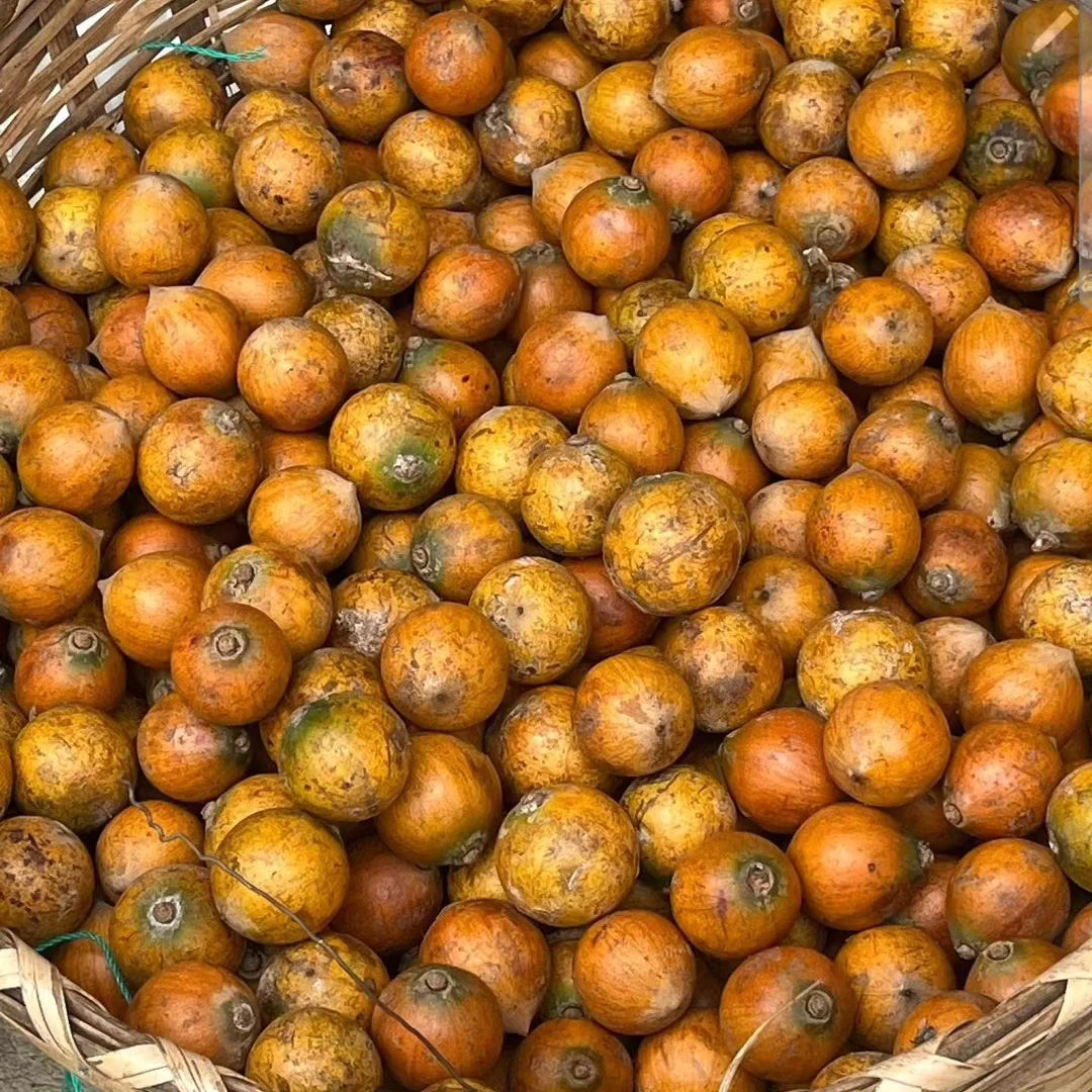 Agbalumo #3