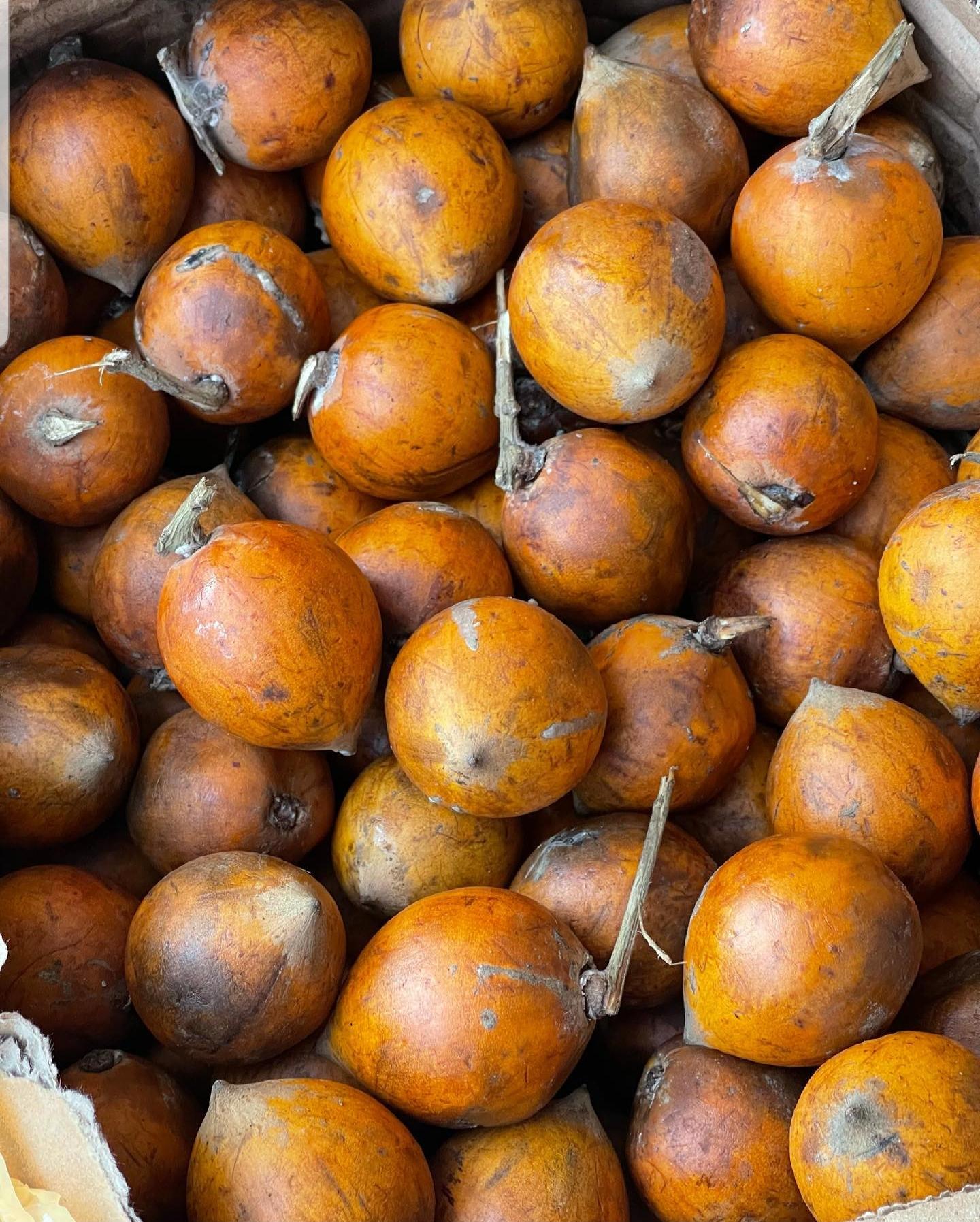 Agbalumo #5