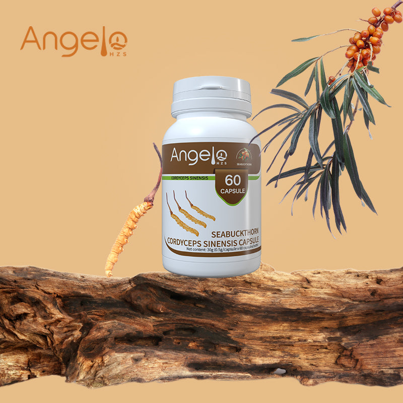 Seabuckthorn Cordyceps Sinensis (Image #3)